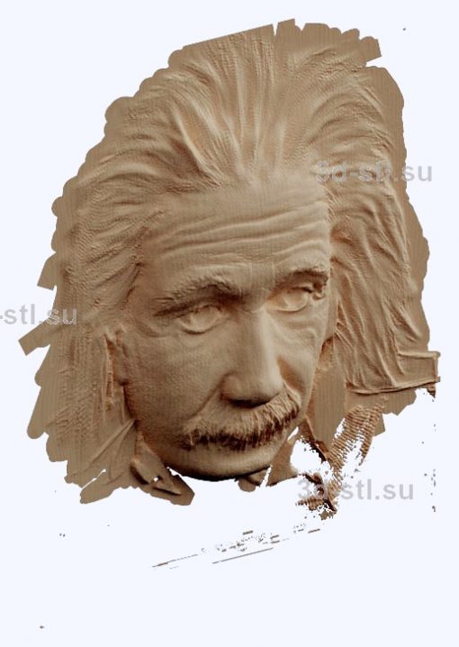 3d STL model-Albert Einstein bas-relief № 84