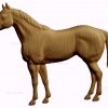 stl model relief horse 