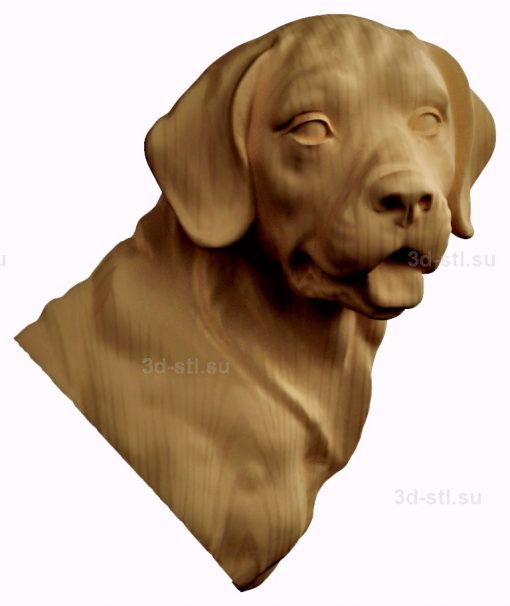 stl model relief Labrador