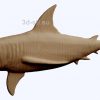 3d STL model-shark bas-relief with animals № 051