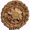 stl model-the Order of 75 years of Victory 